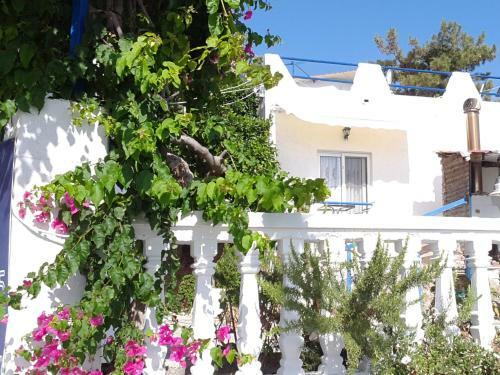 Apartamento Paradis Studios