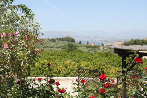 Apartamento Klymeni Traditional Homes