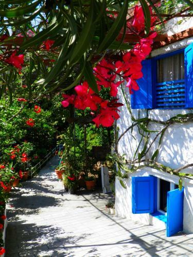 Hostal Alpha Stegna Sun