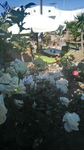Hostal Pension Sofia
