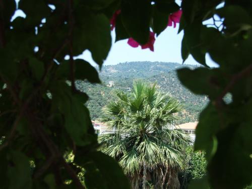 Hostal Fotinos House Skiathos