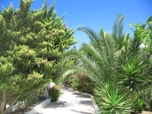 Apartamento Vesuvio Kampos