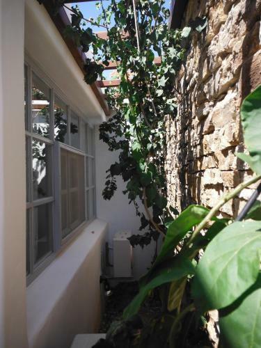 St George Antiparos Apartments