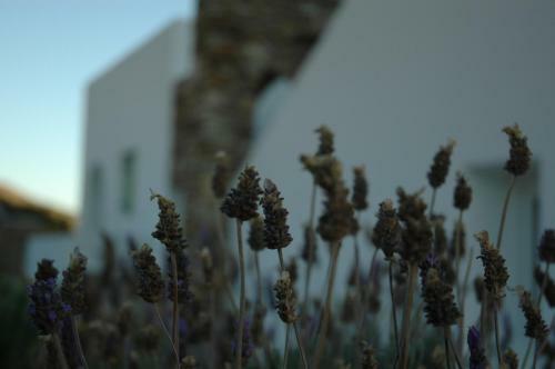 St George Antiparos Apartments