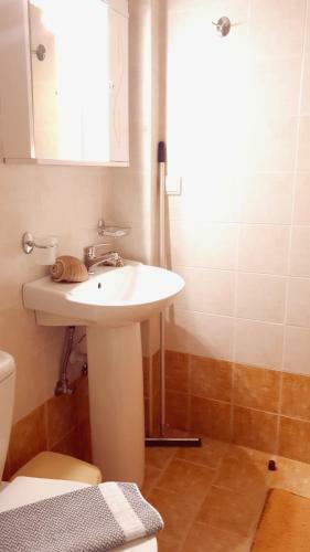 Apartamento Creta Spirit