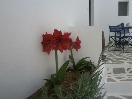 Apartamento Villa Ostria