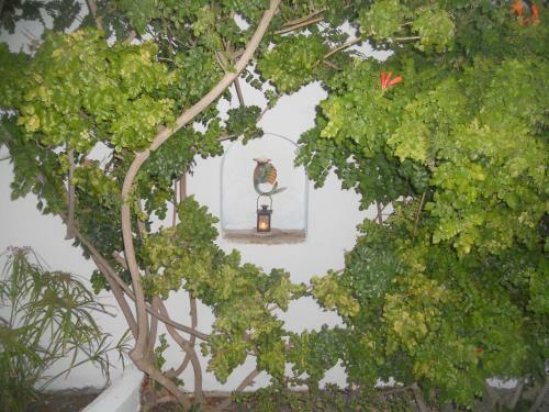 Apartamento Villa Ostria