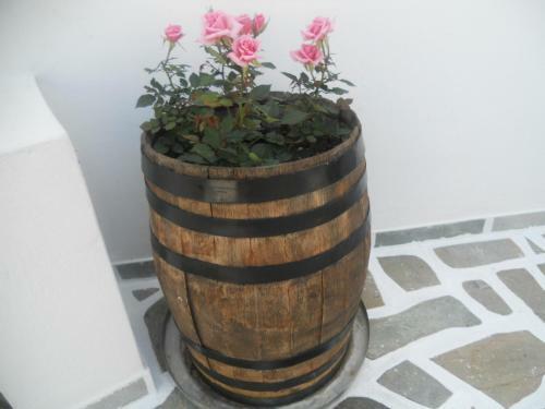 Apartamento Villa Ostria