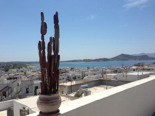 Apartamento Mama's Rooms