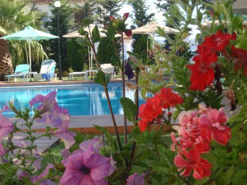 Kalithea Apartments (heated Pool)