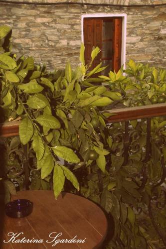 Hotel Alexandros