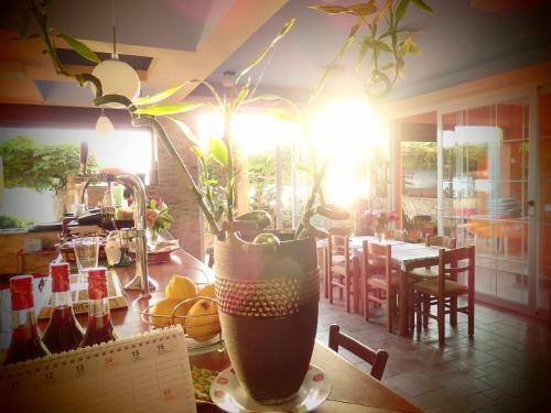 Hostal Dandidis Seaside Pension
