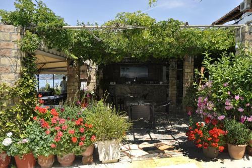 Hostal Dandidis Seaside Pension