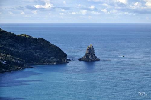 Hostal Dandidis Seaside Pension