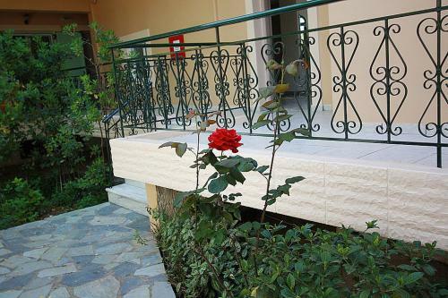 Konstantinos Hotel & Apartments 2