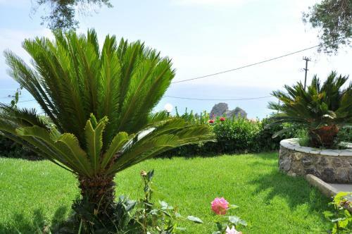 Apartamento Lidovois House
