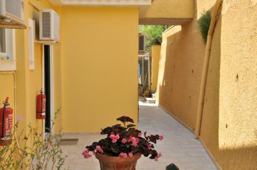 Apartamento Lidovois House