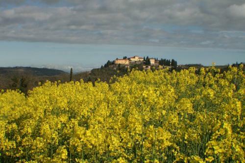Agroturismo Villa S.andrea