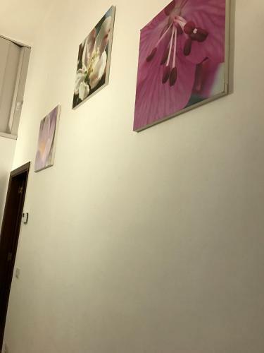 Casa Vacanze Mamarose