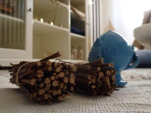 Apartamento Suite Blue Marine