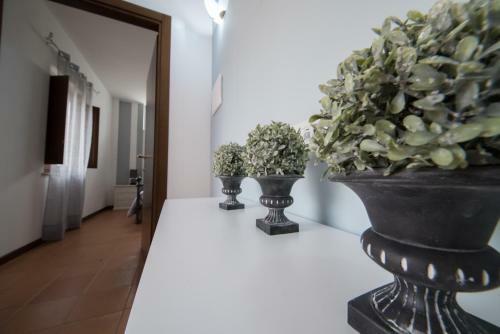 Hostal Casale Rotoloni