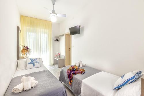 Hotel Condor-new 2022-con Piscina