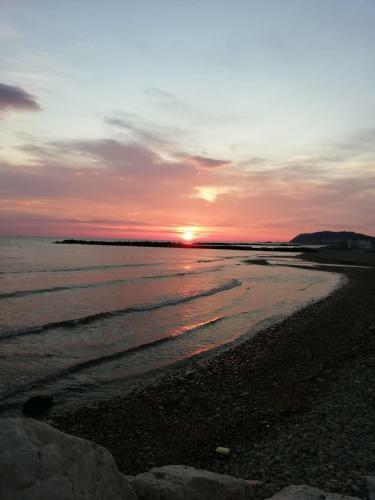 Hotel Garn� Avana