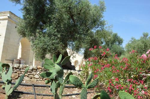 Agroturismo Agriturismo Masseria San Leonardo
