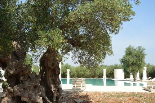 Agroturismo Agriturismo Masseria San Leonardo