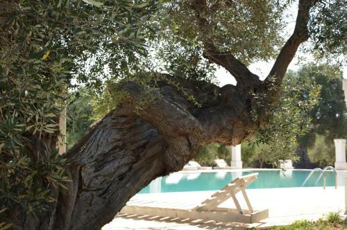 Agroturismo Agriturismo Masseria San Leonardo