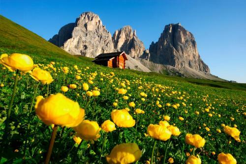 Apartamento Appartamento Cesa Flavia