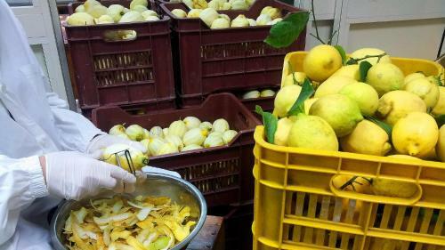 Sorrento Lemons View