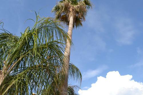 Hostal Affittacamere Torre Lapillo