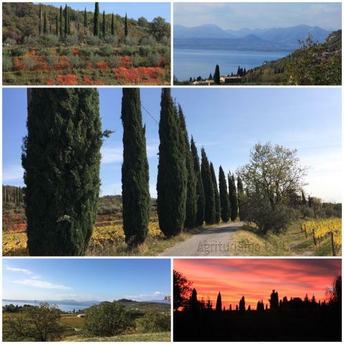 Agroturismo Agriturismo Ca' Castellani