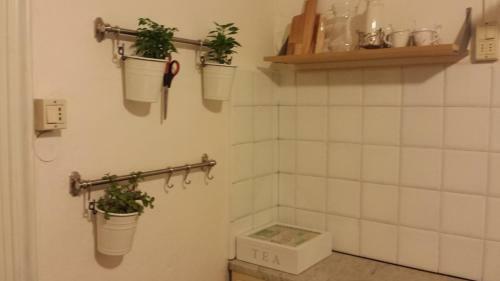 New Vintage Apartment