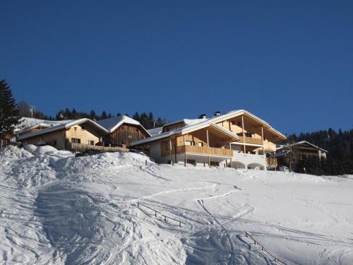 Chalet La Flu Apartments