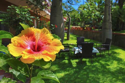 Apartamento Il Sign� Cocco Taormina
