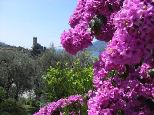 Apartamento Appartamenti Villa Eden