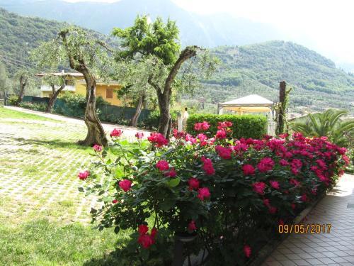 Apartamento Appartamenti Villa Eden