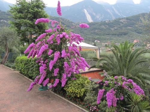 Apartamento Appartamenti Villa Eden
