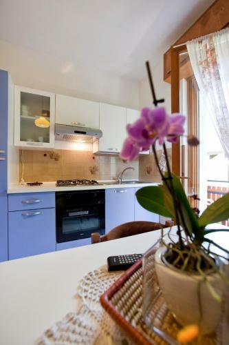 Apartamento Appartamenti Pedrini