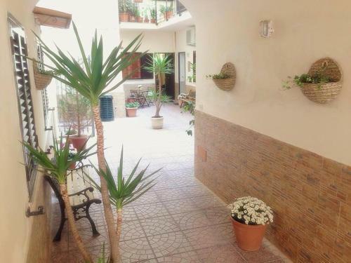 Cappuccini Hostel