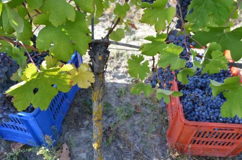 Agroturismo Cascina Il Convivio