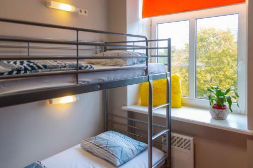 Albergue Liberty Airy