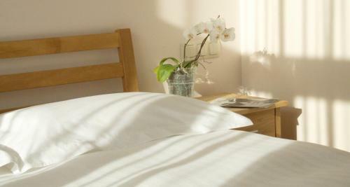 Riga Boutique Apartments