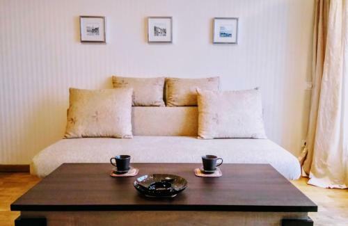Silver Daugava Apartment