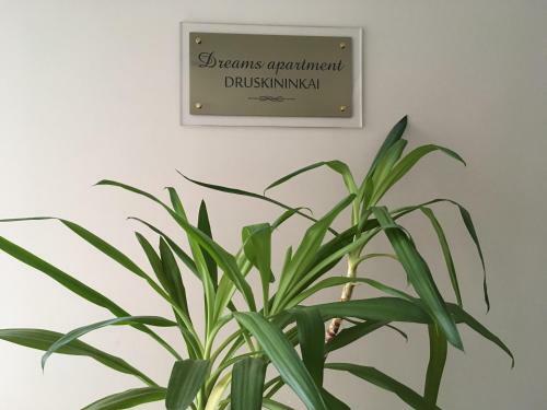 Dreams Apartment Druskininkai
