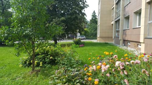 Spa Druskininkai Apartment