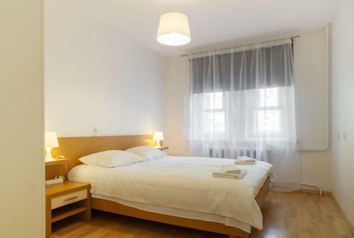 Zilvinas Apartment Didzioji