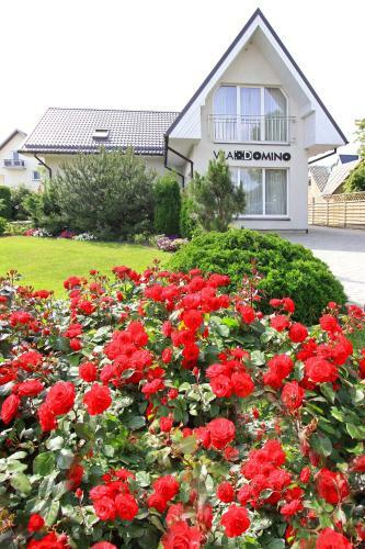 Hostal Vila Domino